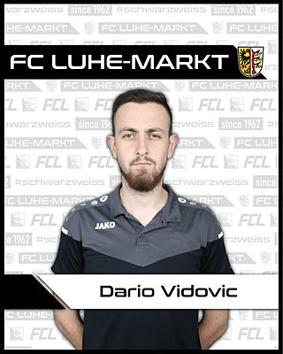 Dario Vidovic