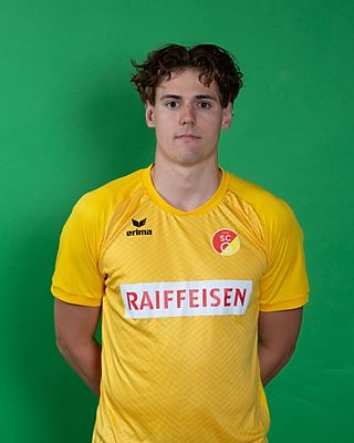 Carl Alois Gabriel Persson