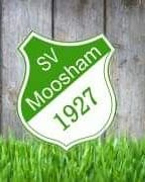 Foto: SVM