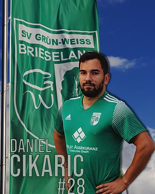 Daniel Cikaric