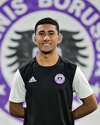 Sherif Hossam Adib Mesak