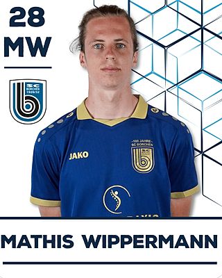 Mathis Wippermann