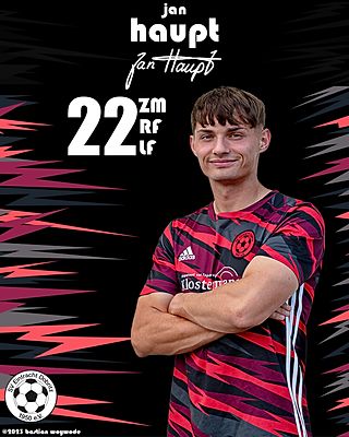 Jan Haupt