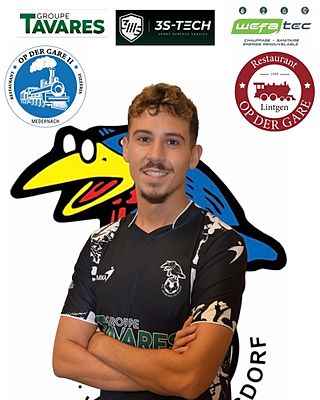 Diogo Barreiro Rodrigues