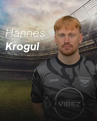 Hannes Krogul