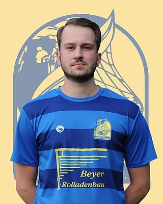 Johannes Steinhausen