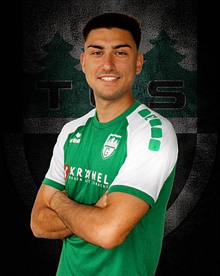 Nikolaos Karpouzidis