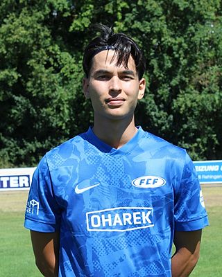 Nicolai Will