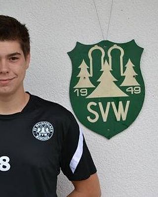 Mathias Niederlechner