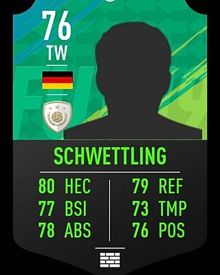 Joshua Tim Schwettling