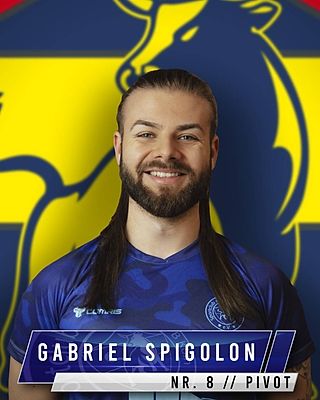 Gabriel Spigolon De Oliveira