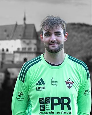 Niklas Robert Schmitz