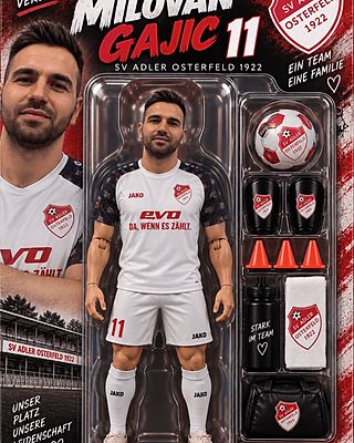 Milovan Gajic