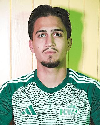 Jesualdo Miguel Pereira Ribeiro