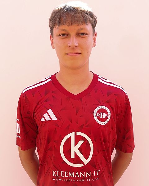 Hendrik Tiaden