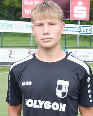 Timo Wolf