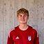 Nick Ostler