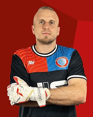 Hasan Sahdanovic