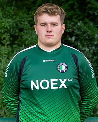 Jan Wilhelm Ferdinand Lietz