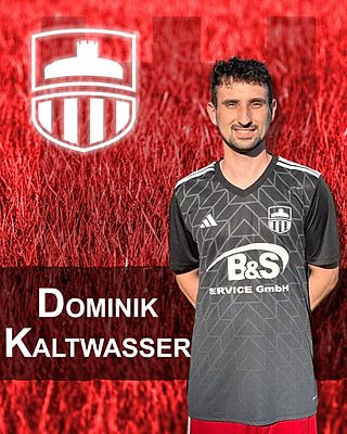 Dominik Kaltwasser