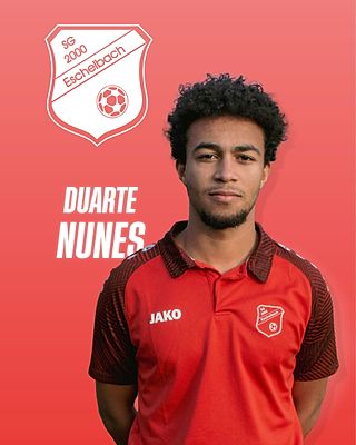 Duarte Manuel Nunes