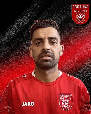 Adrian-Ionel Taranu