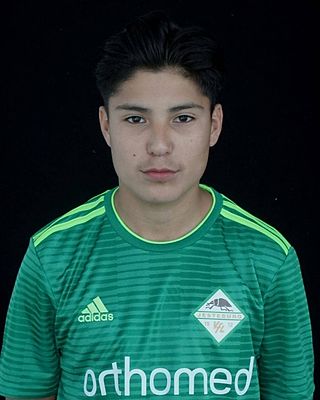 Gabriel Tomaschewski