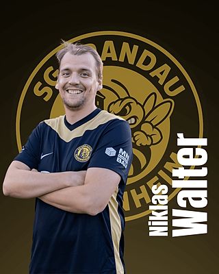 Niklas Walter