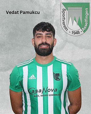 Vedat Pamukcu