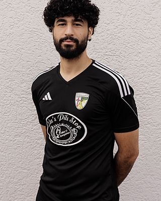 Ali Mehdi