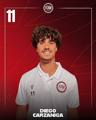 Diego Carzaniga