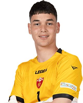 Danilo Koljcevic