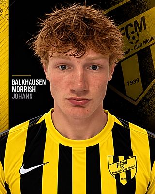 Johann Balkhausen Morrish