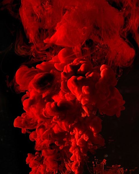 Foto: Alexander Biehler