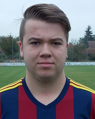 Ludwig Huber