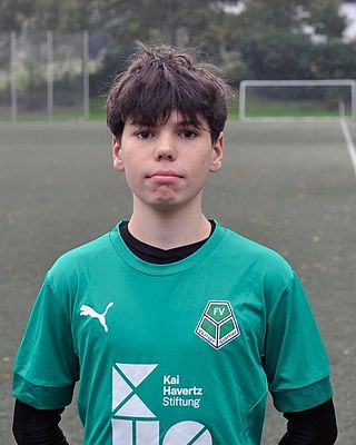 Nicolas Leemhuis Demiris