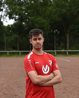 Leon Schreiweis