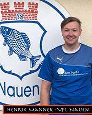 Henrik Mannek