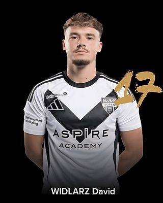 David Widlarz