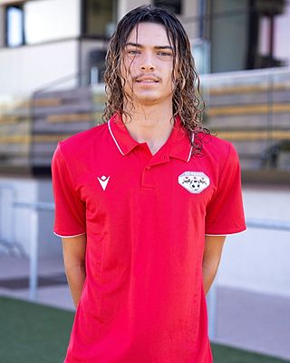 Gabriel Martins Matysik