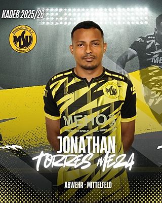 Jonathan Alejandro Torres Meza