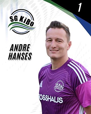 Andre Hanses