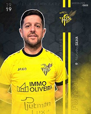 Nuno Miguel Amorim Teixeira Da Silva