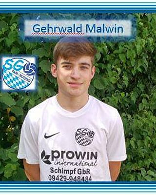 Malwin Gehrwald