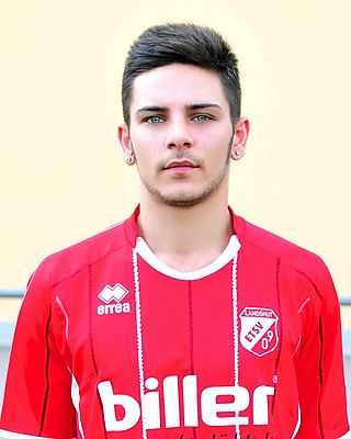 Michael Melnik-Postolov