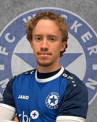 Alteo Vrapi