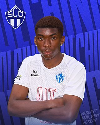 Collins Idukpaye