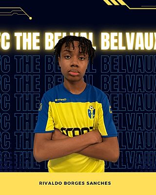 Rivaldo Borges Sanches