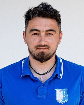Catalin Motrici