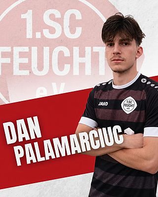 Dan Palamarciuc